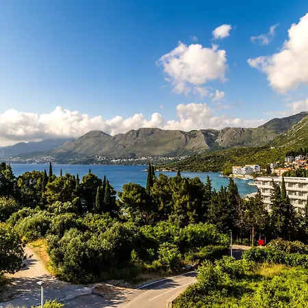 Nest * Cavtat